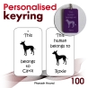 100 - Pharaoh Hound