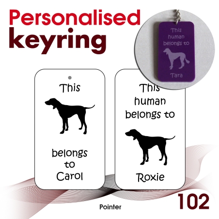 102 - Pointer