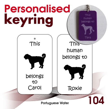 104 - Portuguese Water