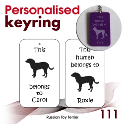 111 - Russian Toy Terrier