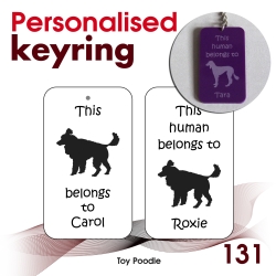 131 - Toy Poodle
