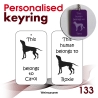 133 - Weimaraner