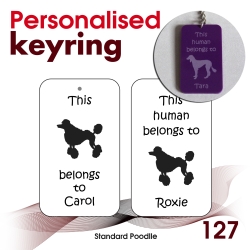 127 - Standard Poodle
