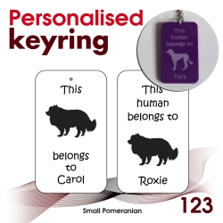 123 - Small Pomeranian