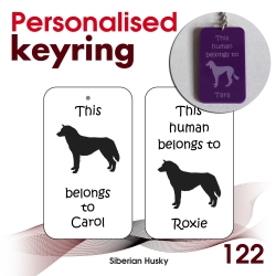 122 - Siberian Husky