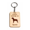 American Staffordshire Terrier