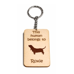 Basset Hound