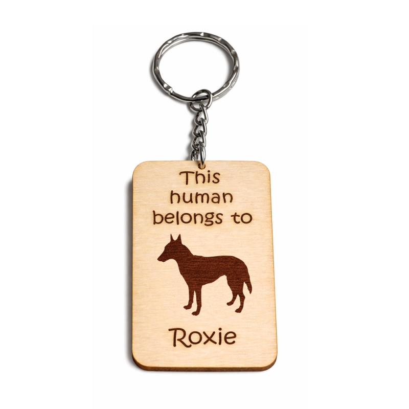Belgian Shepherd Malinois