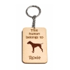 German Shorthaired Pointer