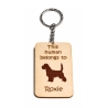 Petit Basset Griffon Vendeen