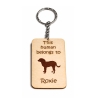 Russian Toy Terrier