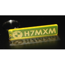 REG plate