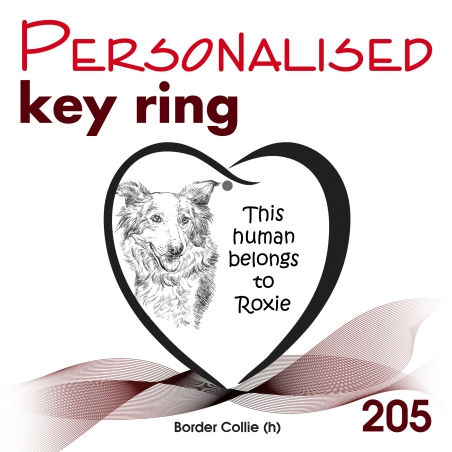 205 - Border Collie (h)