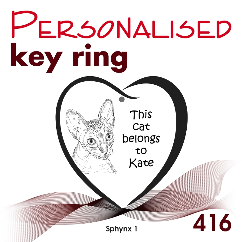 416 - Sphynx 1