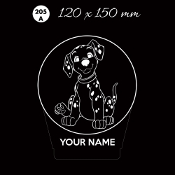 LED 205A your name