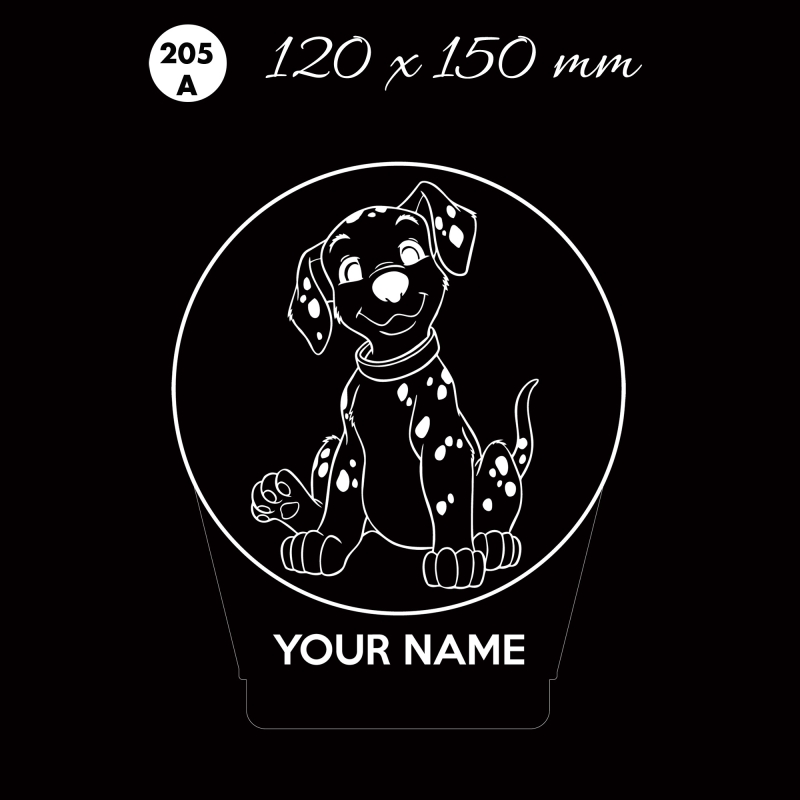 LED 205A your name